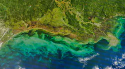 Chevron, Exxon Bid to Move Louisiana Wetlands Cases