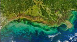 Chevron, Exxon Bid to Move Louisiana Wetlands Cases Chevron, Exxon Bid to Move Louisiana Wetlands Cases