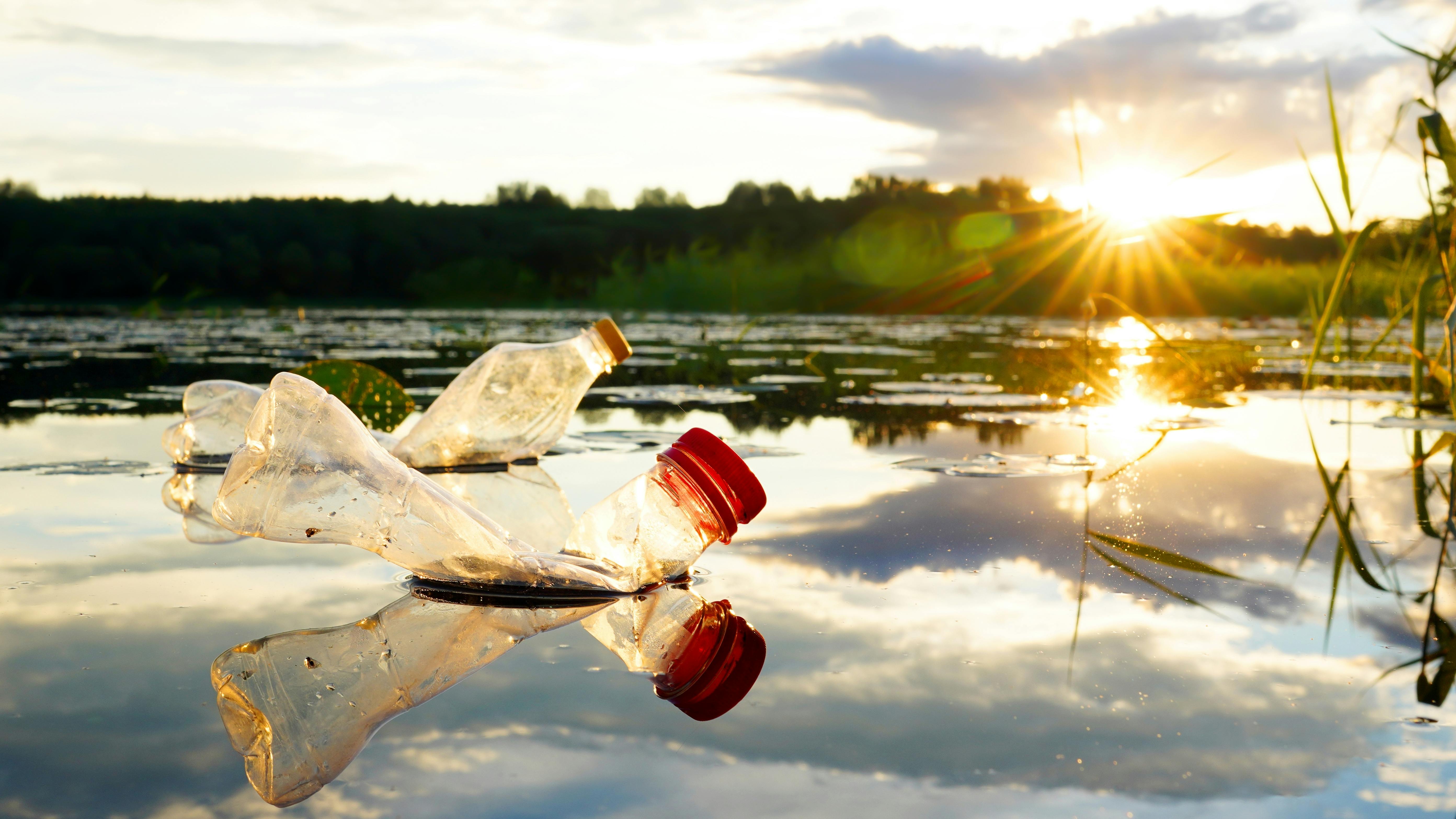 plastic waste floating in stream or pond
