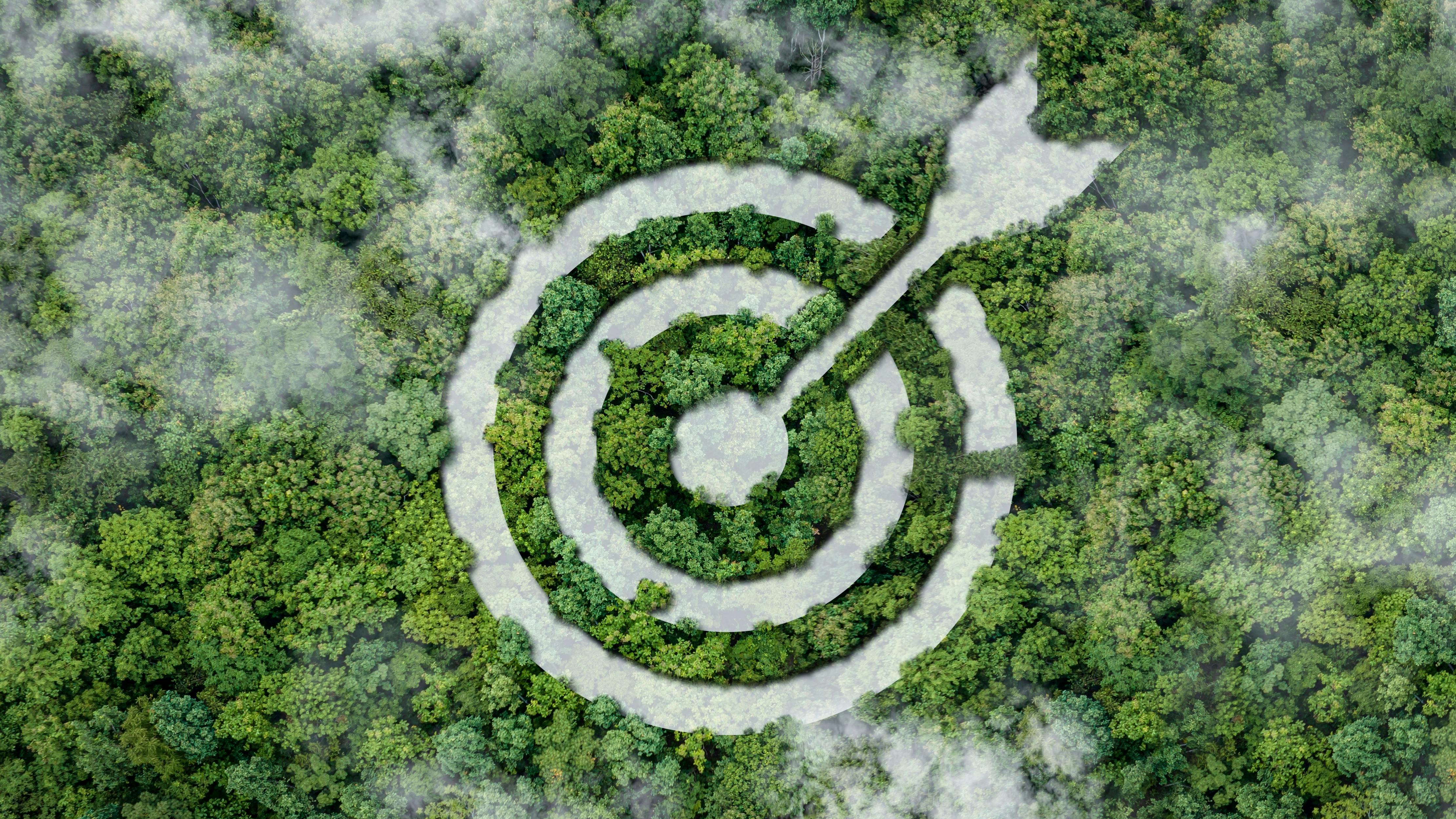 looking down on forest a target and arrow in the middle to convey environmental compliance