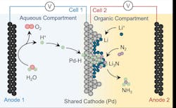 Reactor schematic - in which water is directly used as a hydrogen source to generate ammonia via electric power. Reactor schematic - in which water is directly used as a hydrogen source to generate ammonia via electric power.