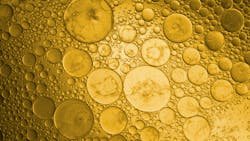 Biodiesel blend with bubbles Biodiesel blend with bubbles