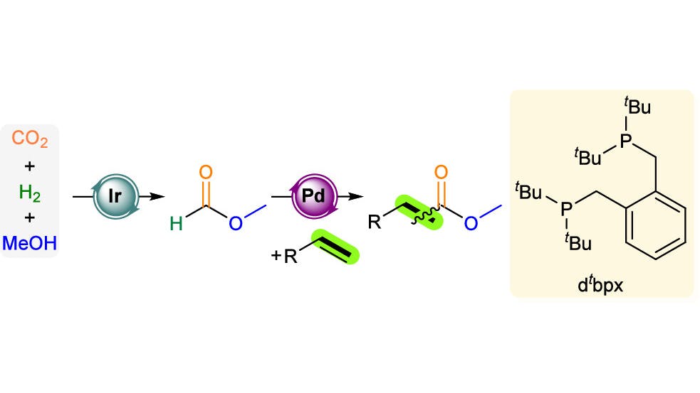 Abstract image from Journal of ACS of Highly Selective Carbonylation of Olefins Using CO2 and H2