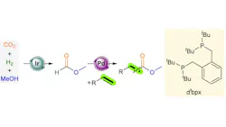 Abstract image from Journal of ACS of Highly Selective Carbonylation of Olefins Using CO2 and H2 Abstract image from Journal of ACS of Highly Selective Carbonylation of Olefins Using CO2 and H2
