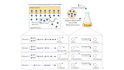 Schematic representation of the chemobiological synthesis of BTEX from glucose or glycerol in Escherichia coli Schematic representation of the chemobiological synthesis of BTEX from glucose or glycerol in Escherichia coli