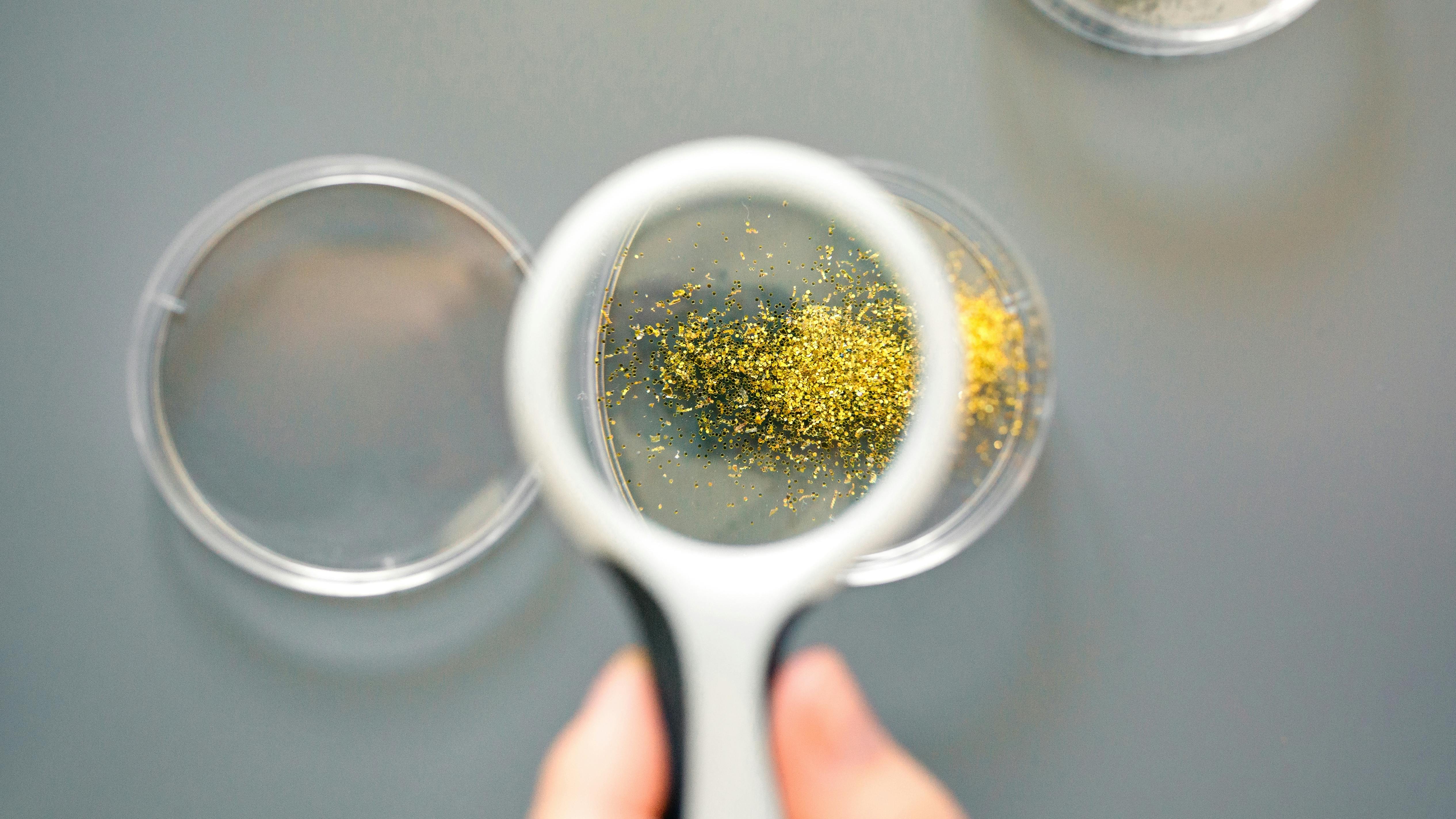 Microplastics under magnifying glass