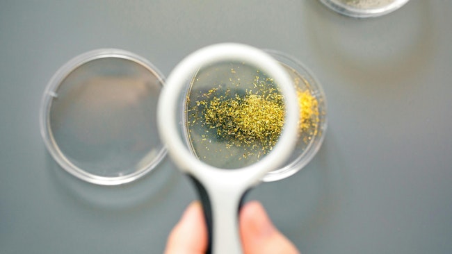 Microplastics under magnifying glass