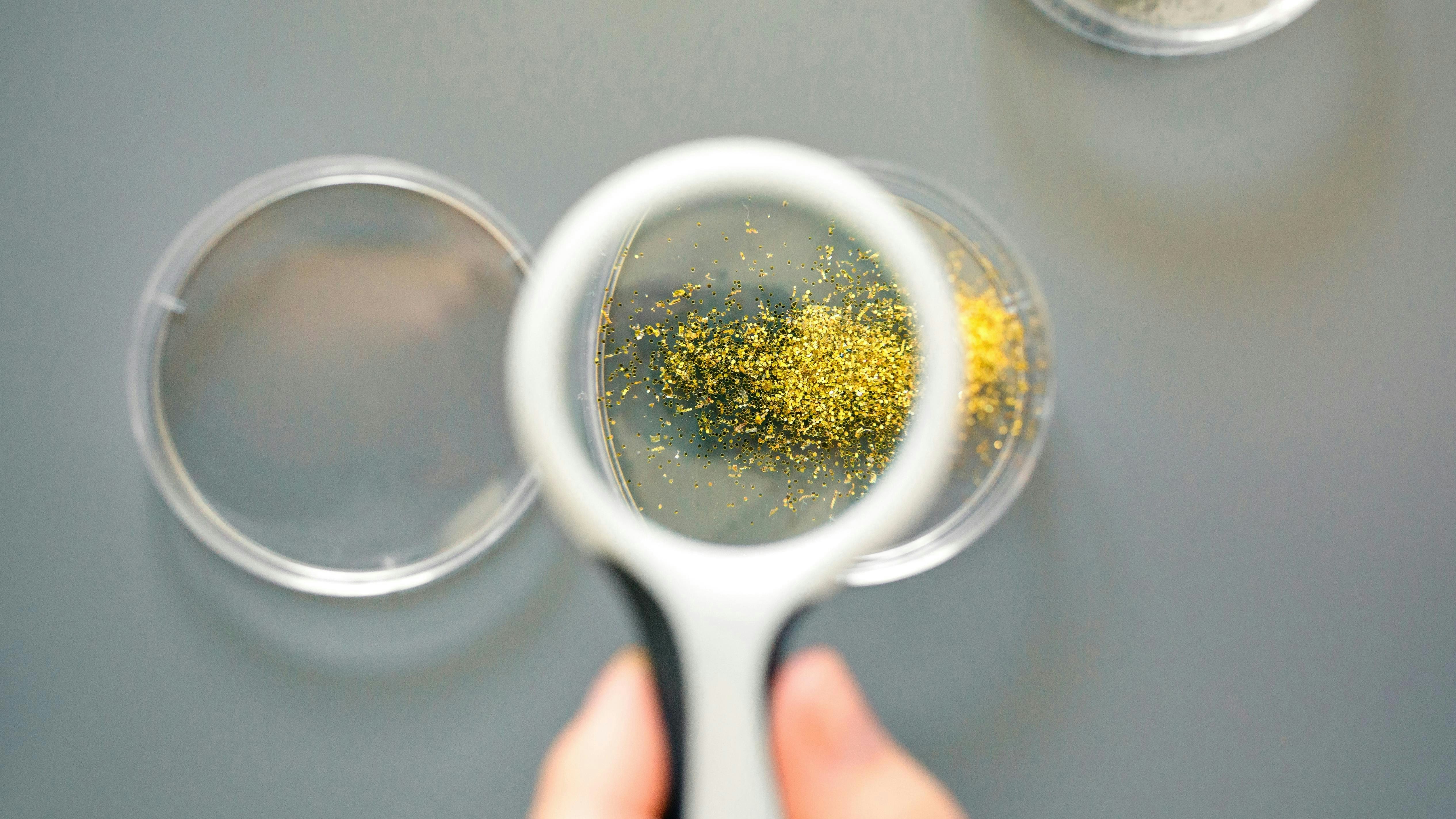 Microplastics under magnifying glass