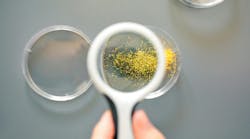 Microplastics under magnifying glass Microplastics under magnifying glass
