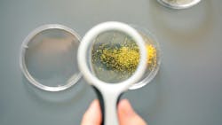 Microplastics under magnifying glass Microplastics under magnifying glass