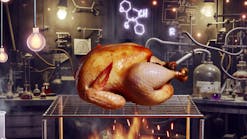 Turkey on a spit illustrating several chemical processes Turkey on a spit illustrating several chemical processes