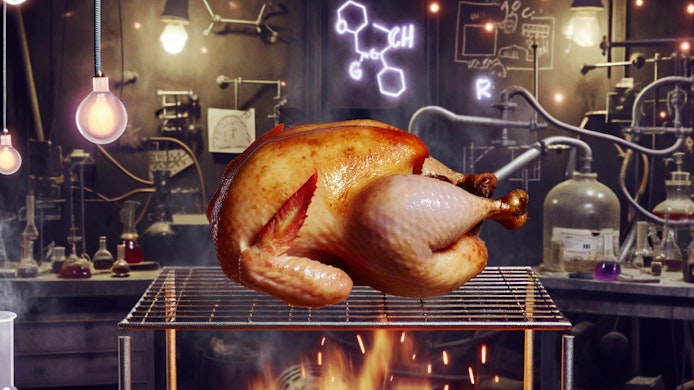 Turkey on a spit illustrating several chemical processes