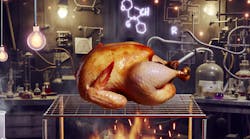 Turkey on a spit illustrating several chemical processes Turkey on a spit illustrating several chemical processes
