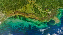 map of wetlands damage to Louisiana Gulf Coast map of wetlands damage to Louisiana Gulf Coast