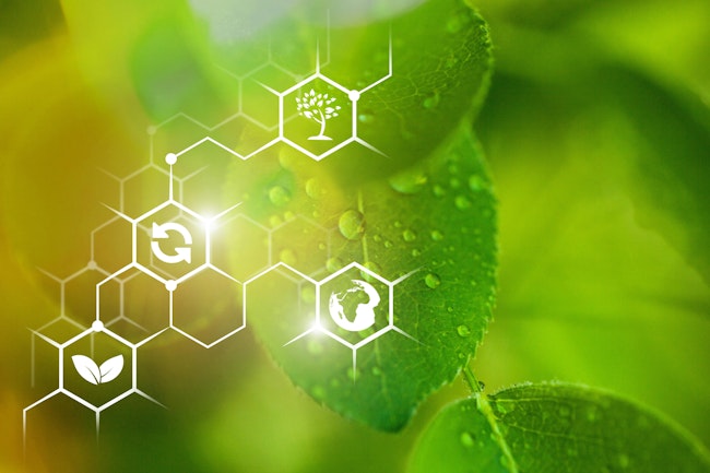 692f33ec7be55c03b116acc9 Shutterstock 1609613188