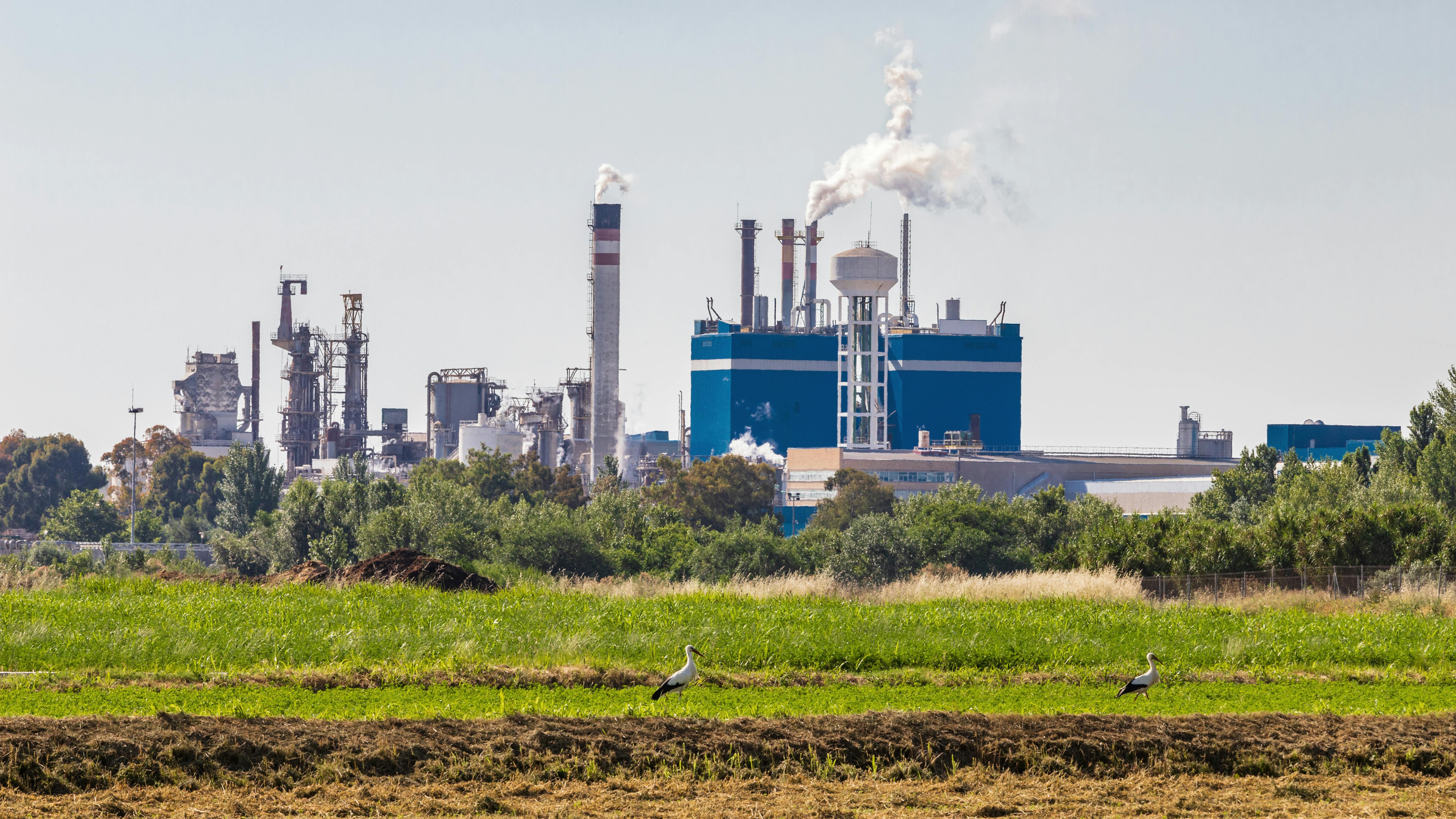 industrial emissions from chemical plant operations