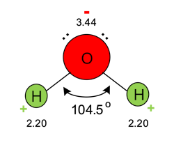 Figure 1. Structure of a water molecule showing the bond angle, electronegativities of hydrogen (2.20) and oxygen (3.44) and unpaired electrons around oxygen. Figure 1. Structure of a water molecule showing the bond angle, electronegativities of hydrogen (2.20) and oxygen (3.44) and unpaired electrons around oxygen.