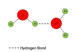 Figure 2. Schematic of hydrogen bonding between two water molecules. Figure 2. Schematic of hydrogen bonding between two water molecules.