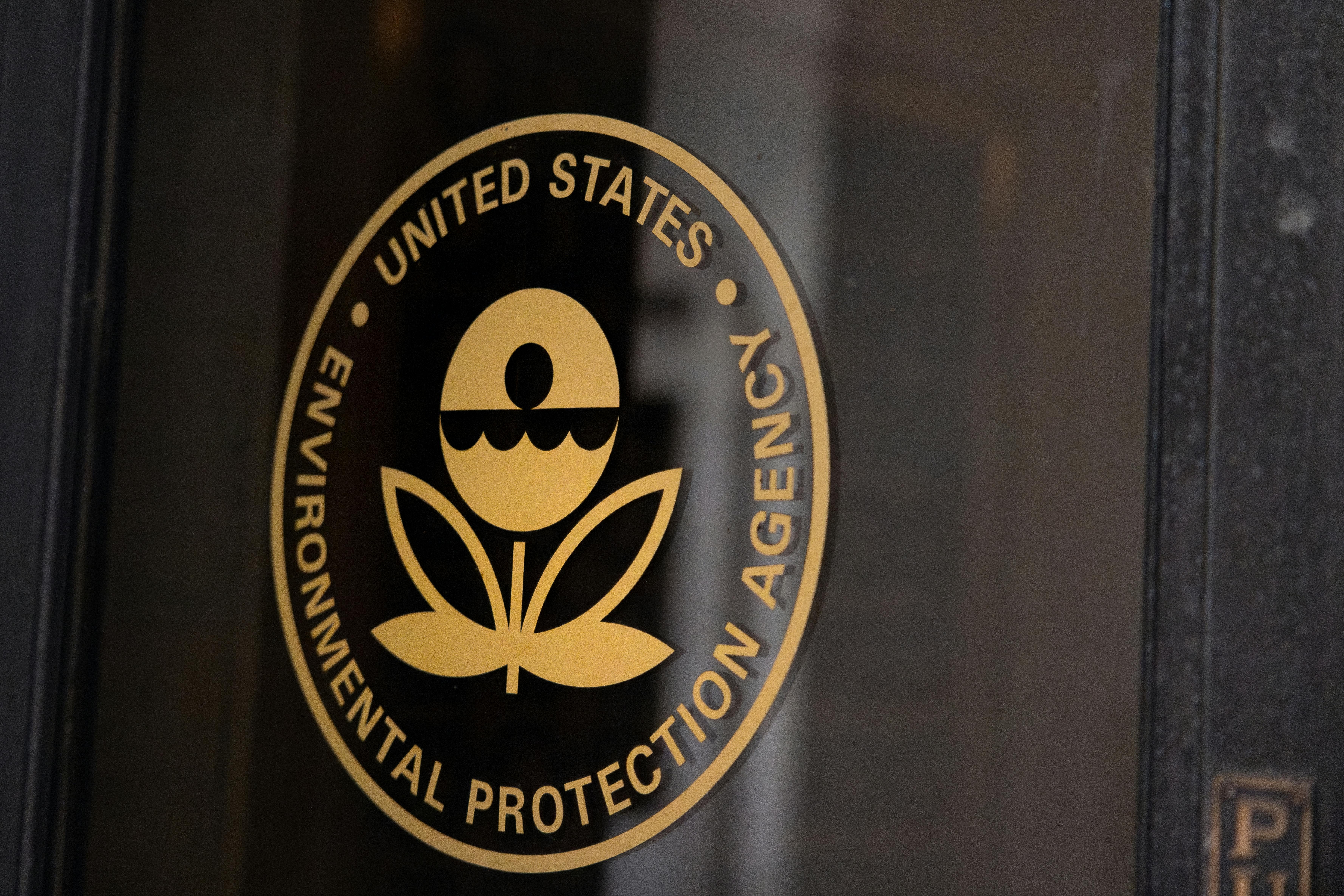 shutterstock_2598012961