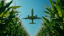 Rows of corn with plane in sky above Rows of corn with plane in sky above