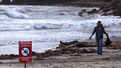 Crystal Schalmo, founder of Green Dragon Conservation Education, collects garbage and other debris that washed up after a storm on Cabrillo Beach in the Los Angeles neighborhood of San Pedro on Dec. 25, 2025. (Genaro Molina/Los Angeles Times/TNS) Crystal Schalmo, founder of Green Dragon Conservation Education, collects garbage and other debris that washed up after a storm on Cabrillo Beach in the Los Angeles neighborhood of San Pedro on Dec. 25, 2025. (Genaro Molina/Los Angeles Times/TNS)