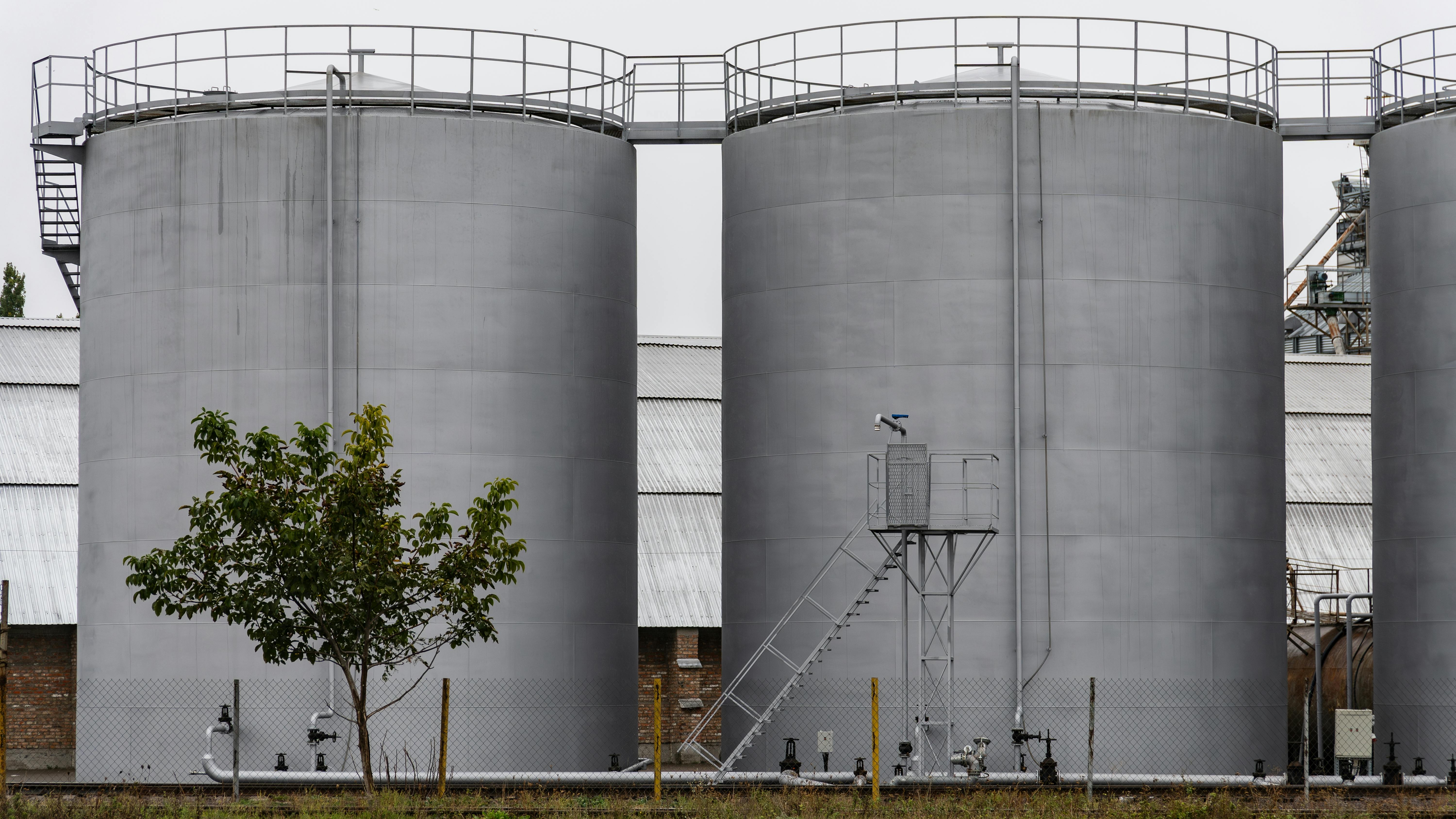 Several large fuel storage tanks stand at an industrial site, surrounded by a few trees and equipment, reflecting an overcast atmosphere in the morning light