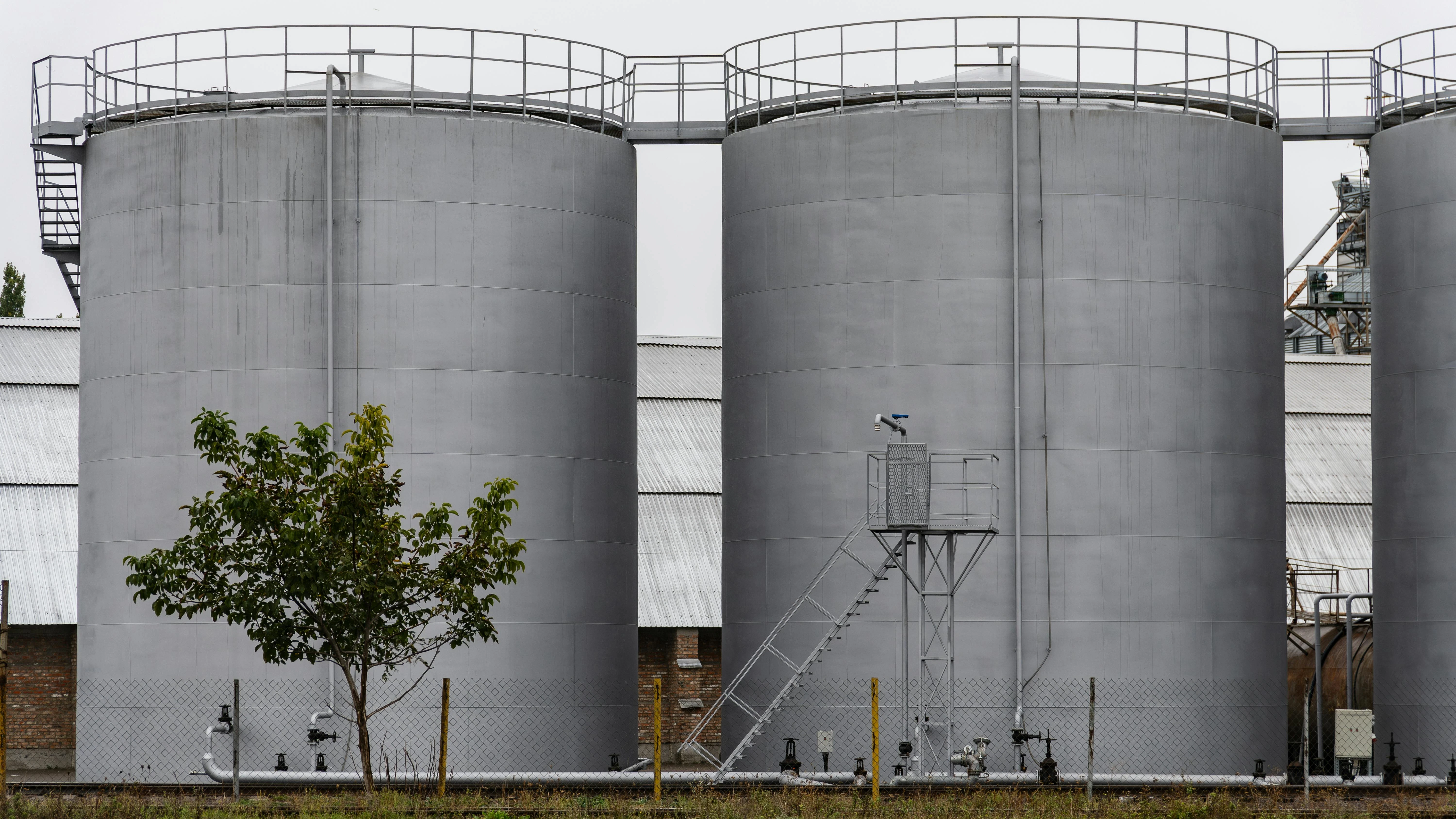 Several large fuel storage tanks stand at an industrial site, surrounded by a few trees and equipment, reflecting an overcast atmosphere in the morning light