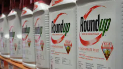 Bottles of Roundup are seen for sale June 19, 2018, at a retail store in Glendale, California. A federal appeals court upheld a $25 million verdict against Monsanto, the maker of Roundup, a weed killer that thousands of litigants blame for causing their cancers. (Robyn Beck/AFP/Getty Images/TNS) Bottles of Roundup are seen for sale June 19, 2018, at a retail store in Glendale, California. A federal appeals court upheld a $25 million verdict against Monsanto, the maker of Roundup, a weed killer that thousands of litigants blame for causing their cancers. (Robyn Beck/AFP/Getty Images/TNS)