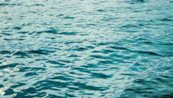 Calm ocean waters Calm ocean waters