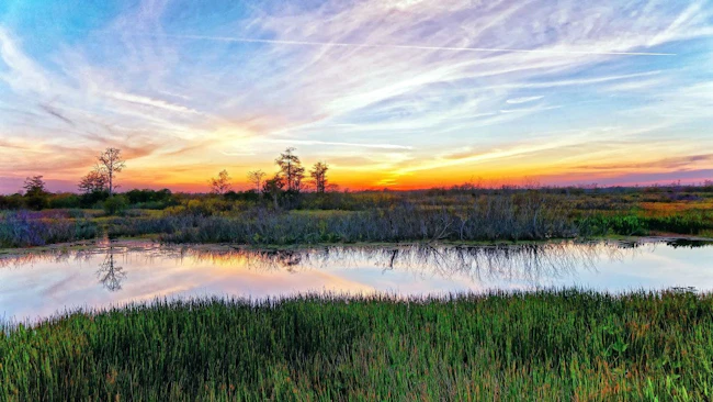 view of Louisiana landscape with river and marshlands against a colorful sky