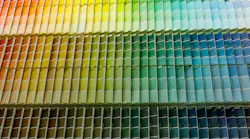 colorful array of Sherwin Williams paint samples