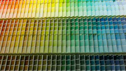 colorful array of Sherwin Williams paint samples