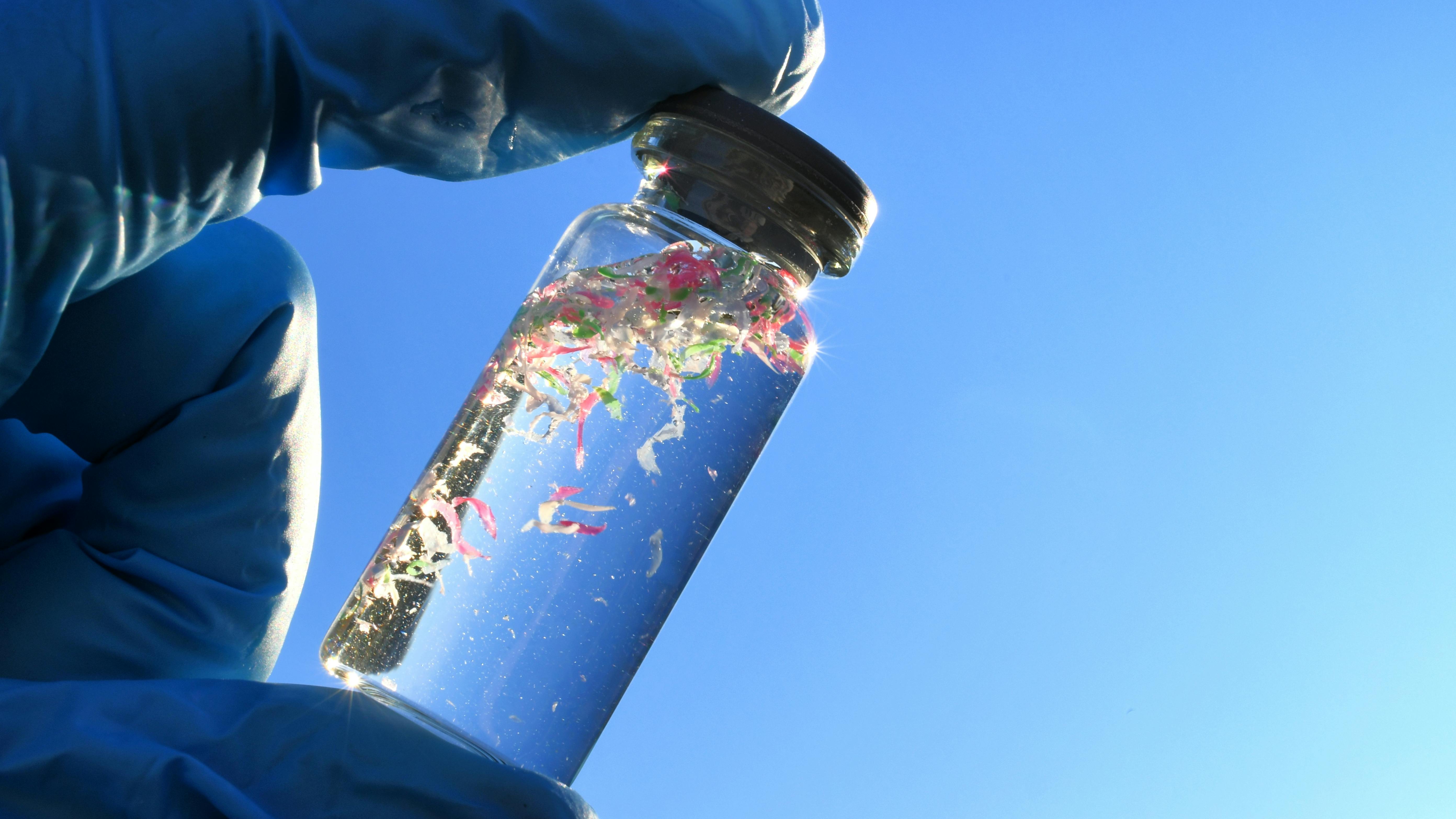 Collecting water samples contaminated with microplastics, plastic pollution