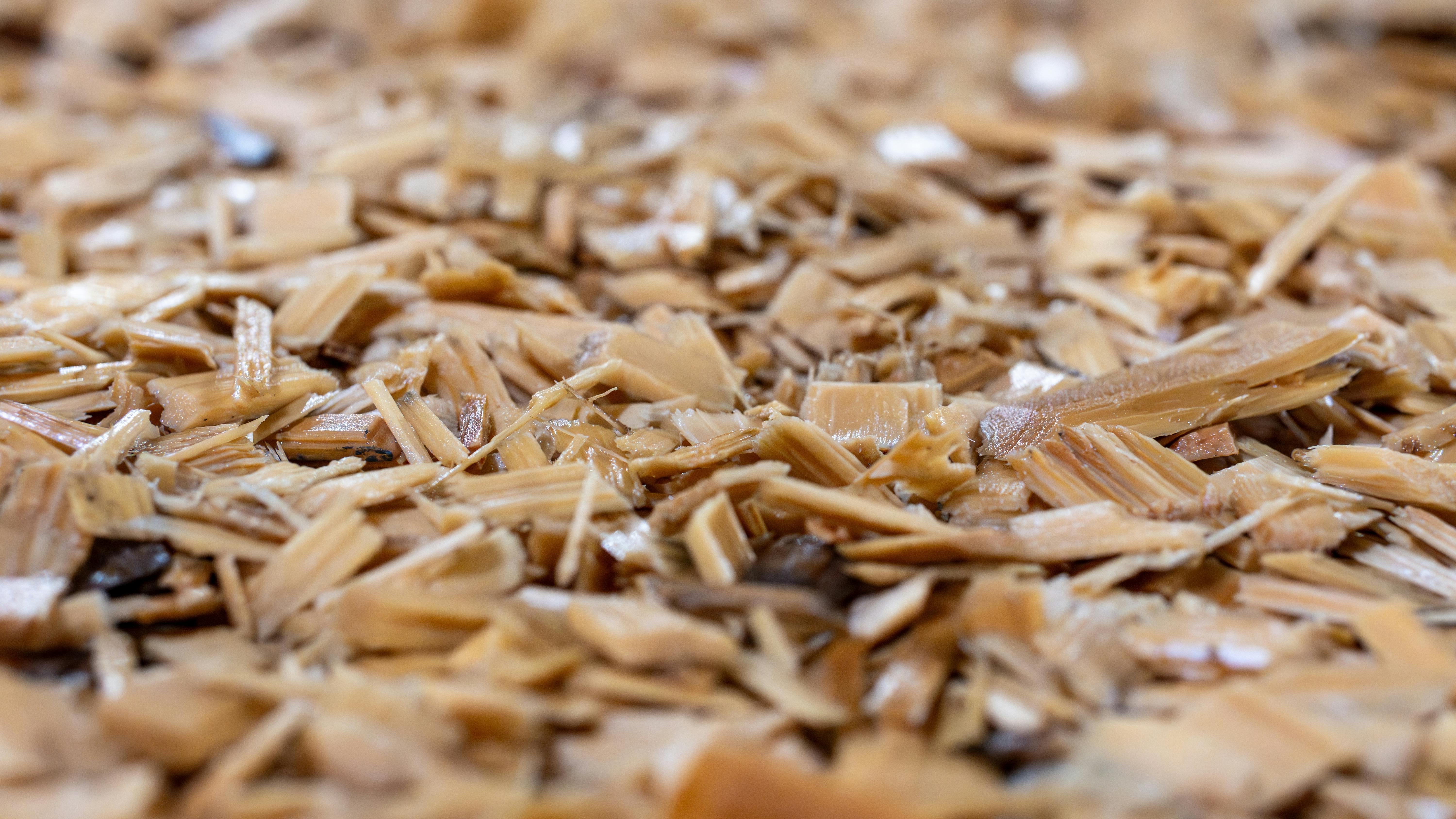 Closeup shot of pile of wood chips for biomass