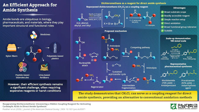 Dichloromethane as a reagent for direct amide synthesis