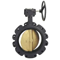 molded-in liner for its LD-2000 Series ductile iron butterfly valves